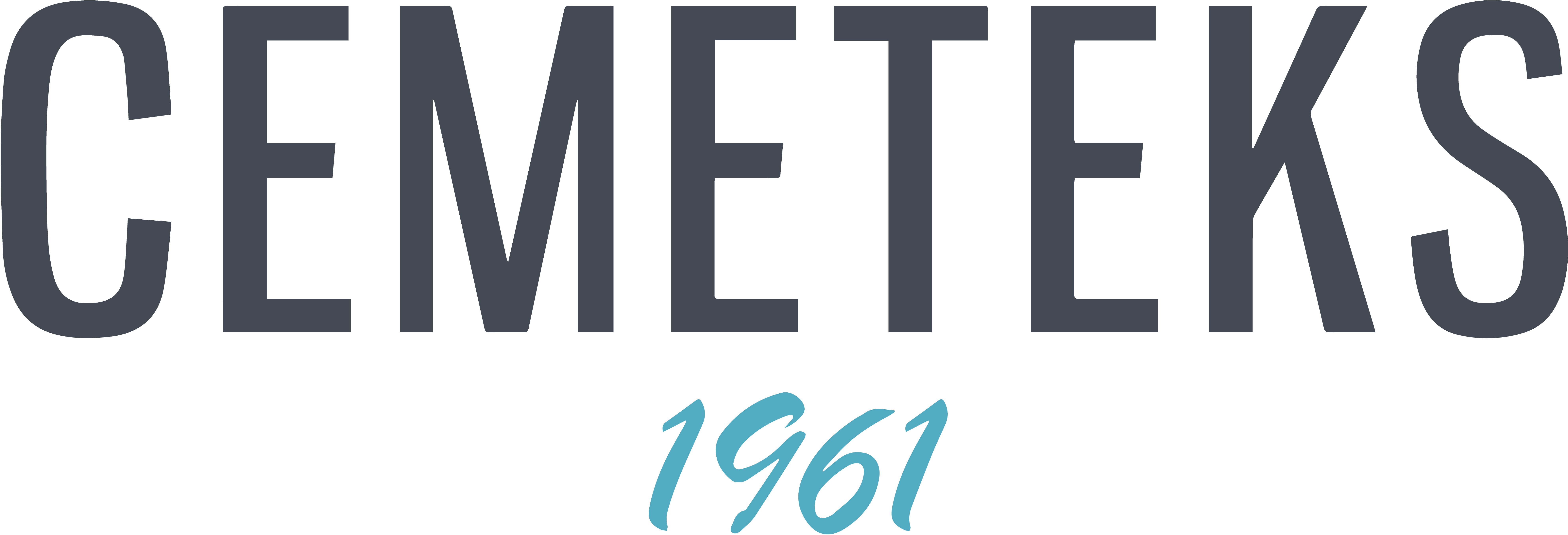 Footer Logo